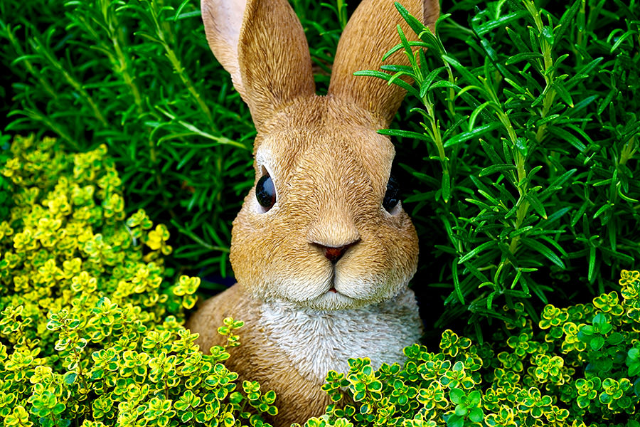 Easter Gifts