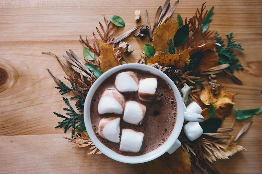 Autumn Chocolate