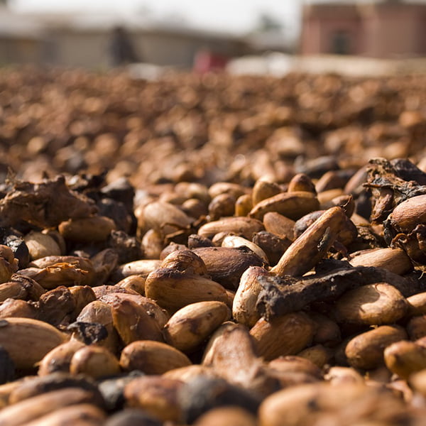 cocoa-roasting