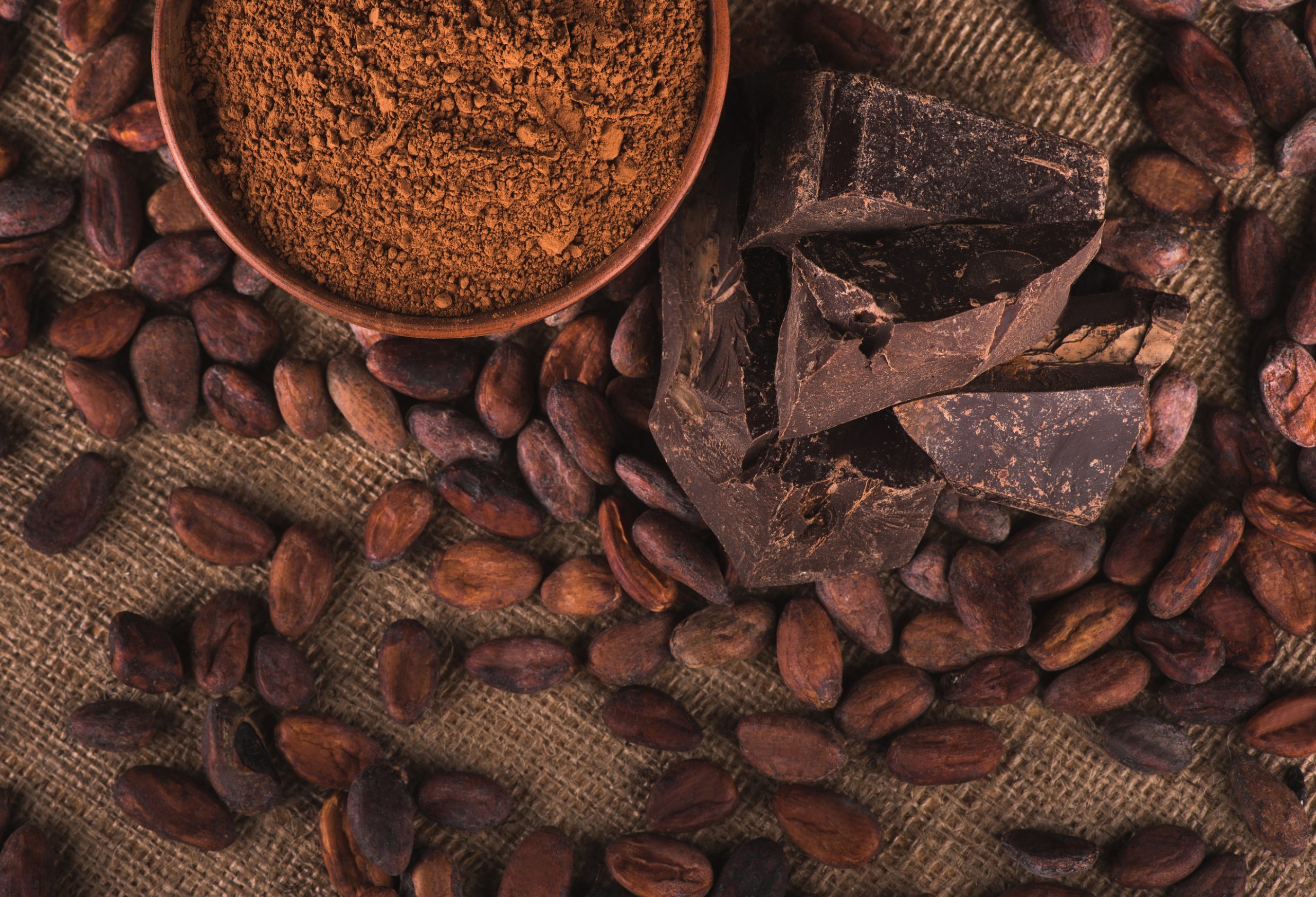 Cocoa Beans, cocoa powder and dark chocolate on a hessian sack