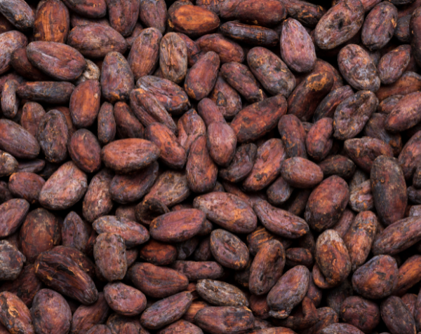 Picture of cocoa beans