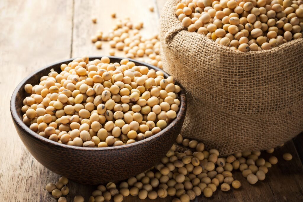 Bowl of soya beans