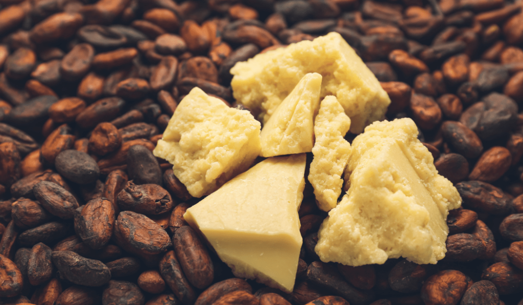 cocoa solids and cocoa butter