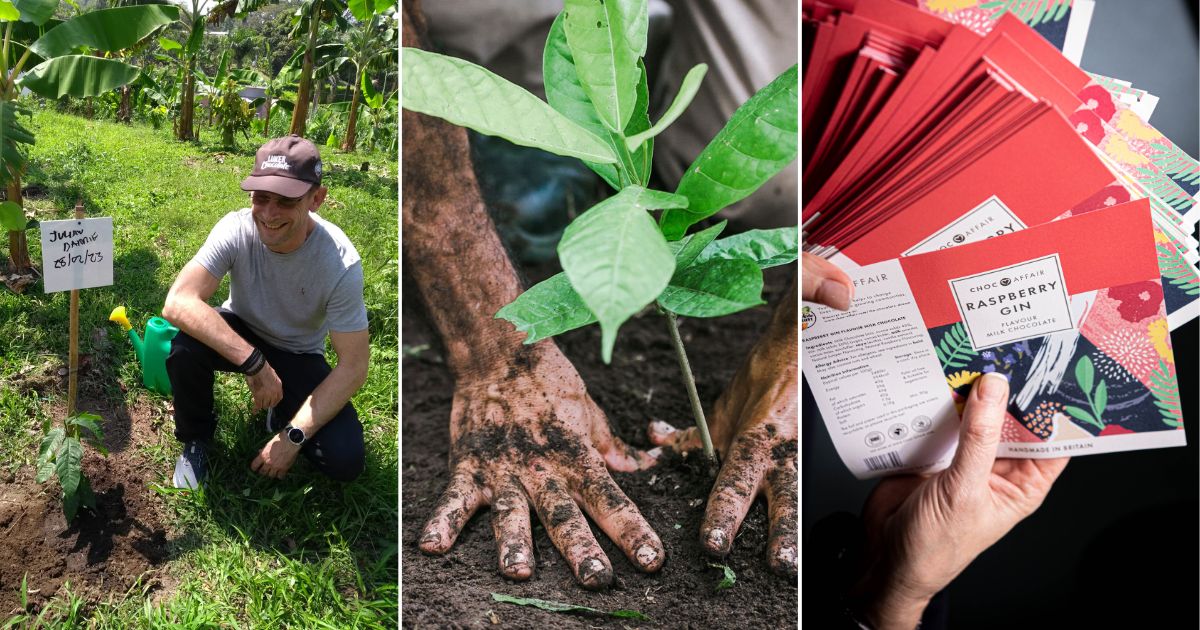 Sustainable chocolate making