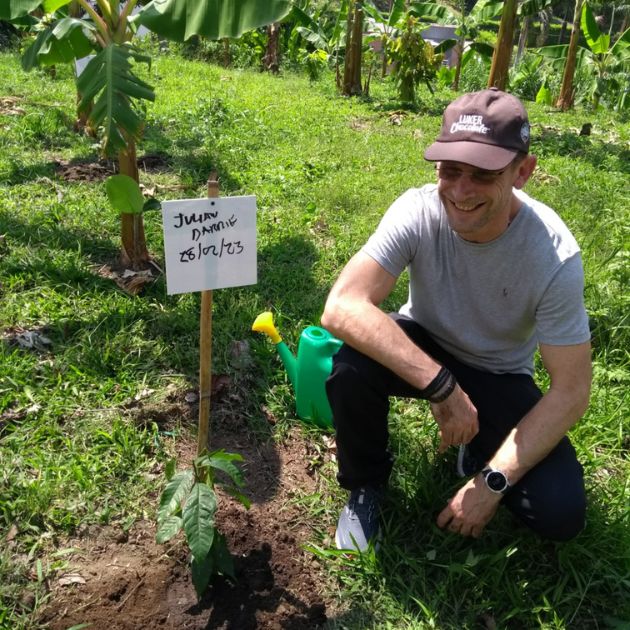 Man next to a newly planted cocoa tree